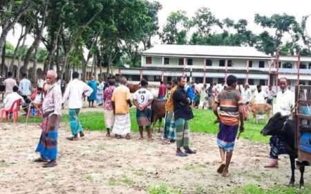 পরীক্ষা চলাকালীন স্কুল মাঠেই মাইক বাজিয়ে চলছে গরুর হাট