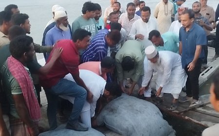 কুড়িগ্রামে ধরলার ভাঙন রোধে জিও ব্যাগ ফেলা কার্যক্রমের উদ্বোধন
