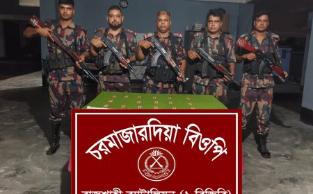 রাজশাহী সীমান্তে বিজিবি’র অভিযানে ভারতীয় ট্যাপেনট্রাডল ট্যাবলেট জব্দ