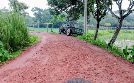 ঈশ্বরগঞ্জের খালবলা বাজারমুখী সড়কে খসে পড়ছে ‘চামড়া’, মিলছে না প্রতিকার