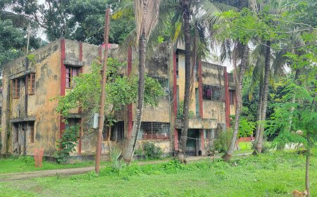 বরাদ্দ-ভাড়া ছাড়াই সরকারি কোয়ার্টারে বসবাস, লাখ লাখ টাকার রাজস্ব হারাচ্ছে সরকার
