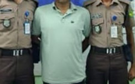 বালিশের ভেতর মিলল ৩৩ হাজার ৮০০ পিস ইয়াবা, গ্রেফতার ১