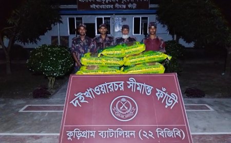 কুড়িগ্রামে বিজিবির পৃথক অভিযানে গাঁজা, ইয়াবা সহ ৩ চোরা কারবারি আটক