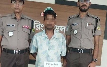 জুলাই আন্দোলনে লুণ্ঠিত ২ বিদেশি পিস্তল উদ্ধার