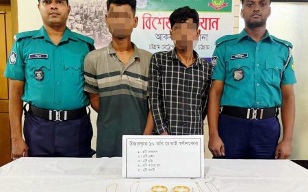 চট্টগ্রামে বাসায় চুরির রহস্য উদ্ঘাটন, ২ জন গ্রেপ্তার; উদ্ধার প্রায় ১০ ভরি স্বর্ণালংকার