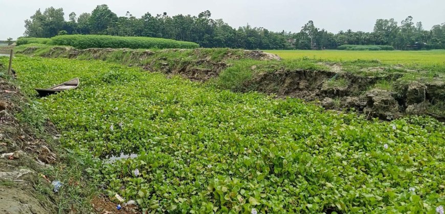 বৃষ্টিতেই ভাঙছে পাড়  খাল পুনঃখনন প্রকল্পে অনিয়মের অভিযোগ
