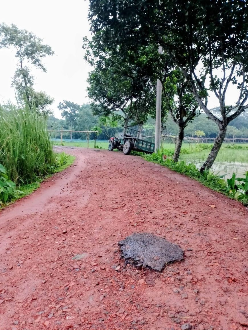 ঈশ্বরগঞ্জের খালবলা বাজারমুখী সড়কে খসে পড়ছে ‘চামড়া’, মিলছে না প্রতিকার