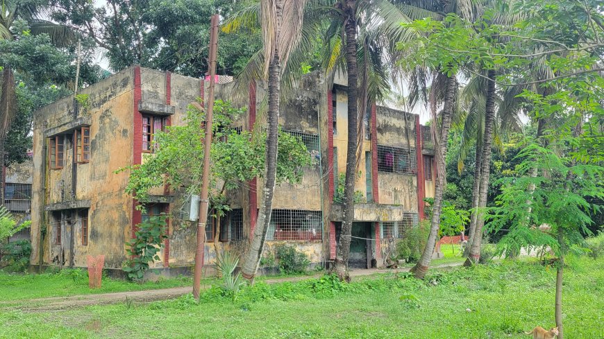 বরাদ্দ-ভাড়া ছাড়াই সরকারি কোয়ার্টারে বসবাস, লাখ লাখ টাকার রাজস্ব হারাচ্ছে সরকার