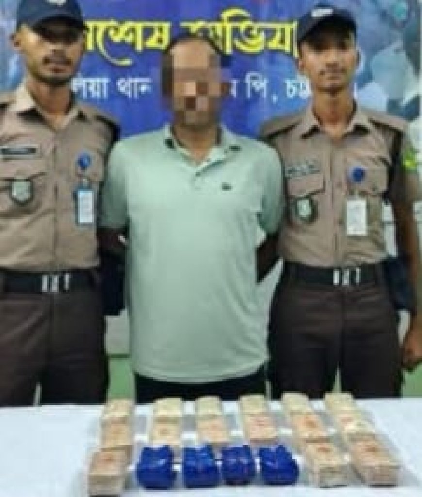বালিশের ভেতর মিলল ৩৩ হাজার ৮০০ পিস ইয়াবা, গ্রেফতার ১