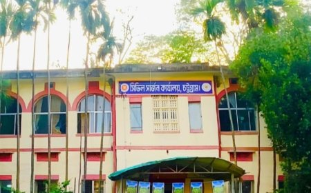 জুলাইতেই চট্টগ্রামে ডেঙ্গুর সবচেয়ে বড় বিস্তার, আক্রান্ত ৫৩৬; দুই নারীর মৃত্যু