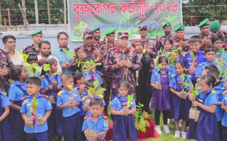 বাঘাইছড়িতে ২৭ বিজিবির বৃক্ষরোপণ কর্মসূচি, বিতরণ করা হয়েছে ২৮ হাজার ৯০০ চারা