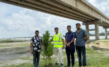 সাঁড়াশি অভিযানে কুড়িগ্রামে উন্মোচিত গাঁজা চাষ, গাঁজা গাছ উদ্ধার—গ্রেফতার চাষি