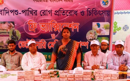 'শিক্ষা, স্বাস্থ্য ও পশুপালনসহ প্রতিটি ক্ষেত্রেই চরের মানুষের পাশে থাকবে কুড়িগ্রাম জেলা প্রশাসন