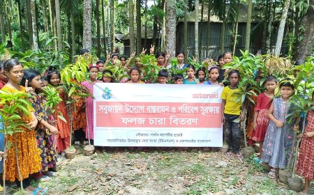 সবুজায়নের লক্ষ্যে ফুলবাড়ীতে ২,৮১৫টি আমের চারা বিতরণ কর্মসূচির উদ্বোধন 