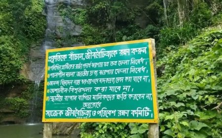 মাদক সেবন ও অনৈতিক কর্মকাণ্ডের অভিযোগে সাজেকের ‘হাজাছড়া ঝরনা’ বন্ধ ঘোষণা