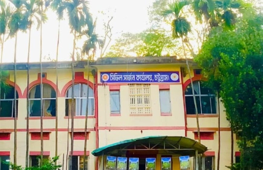 জুলাইতেই চট্টগ্রামে ডেঙ্গুর সবচেয়ে বড় বিস্তার, আক্রান্ত ৫৩৬; দুই নারীর মৃত্যু