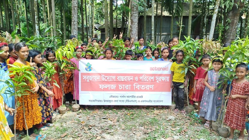 সবুজায়নের লক্ষ্যে ফুলবাড়ীতে ২,৮১৫টি আমের চারা বিতরণ কর্মসূচির উদ্বোধন 