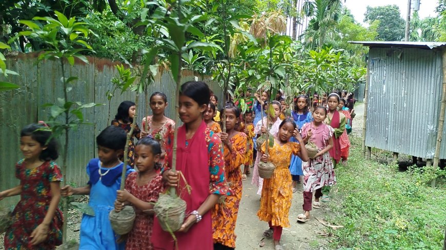 সবুজায়নের লক্ষ্যে ফুলবাড়ীতে ২,৮১৫টি আমের চারা বিতরণ কর্মসূচির উদ্বোধন 