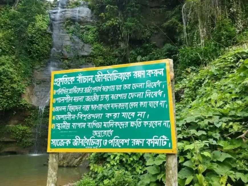 মাদক সেবন ও অনৈতিক কর্মকাণ্ডের অভিযোগে সাজেকের ‘হাজাছড়া ঝরনা’ বন্ধ ঘোষণা