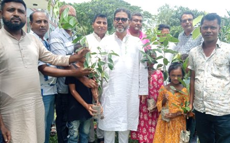 ঈশ্বরগঞ্জের জাটিয়ায় কৃষক দলের উদ্যোগে ৩০০ শিক্ষার্থী পেল গাছের চারা